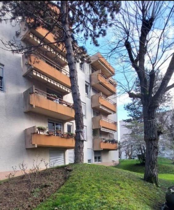 Chazi And Cosy Apartamento